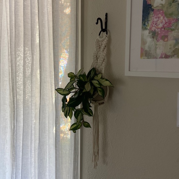 Macrame Wall Plant Holder with Iron Wall Hook - Picture 1 of 6